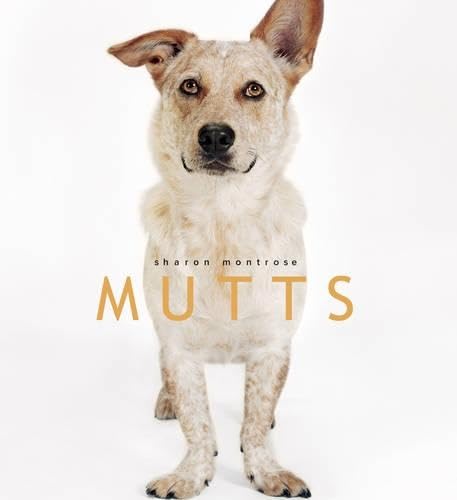 cover image Mutts