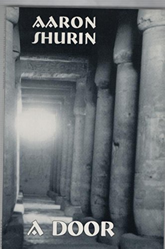 cover image A Door