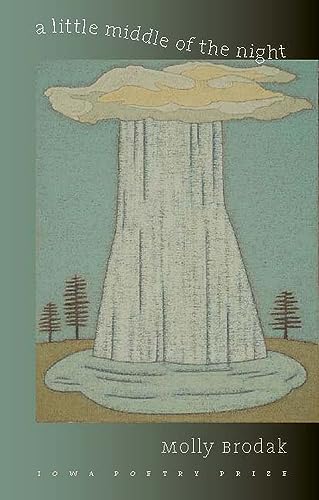 cover image A Little Middle of the Night