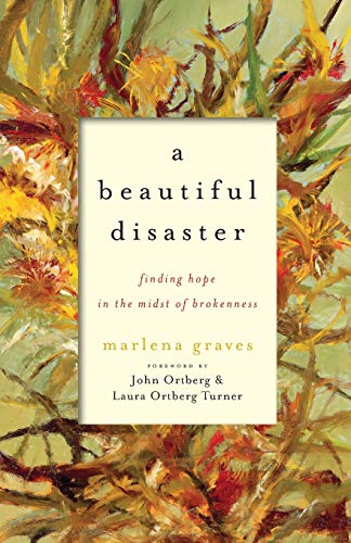 cover image A Beautiful Disaster: Finding Hope in the Midst of Brokenness