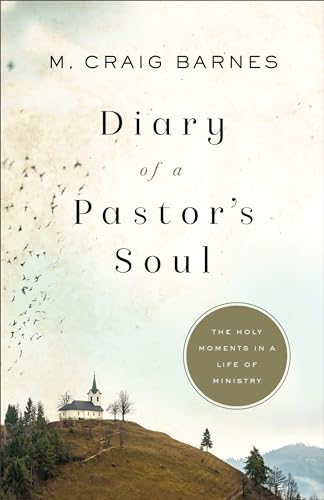 cover image Diary of a Pastor’s Soul: The Holy Moments in a Life of Ministry