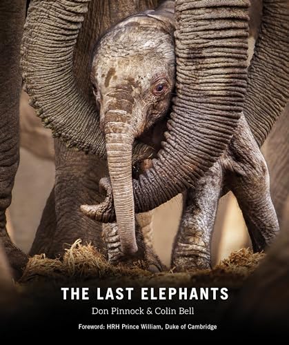 cover image The Last Elephants