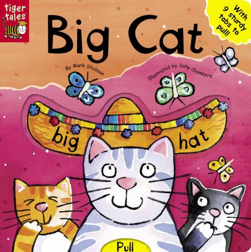 cover image Big Cat