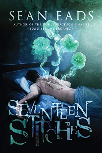 cover image Seventeen Stitches