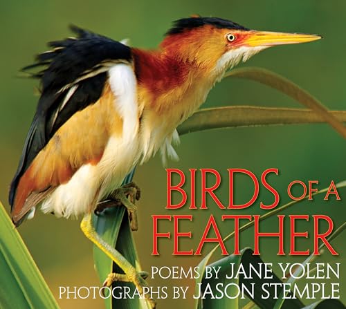 cover image Birds of a Feather
