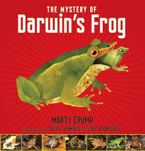 cover image The Mystery of Darwin%E2%80%99s Frog