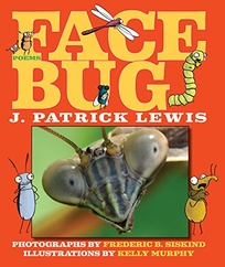 Face Bug