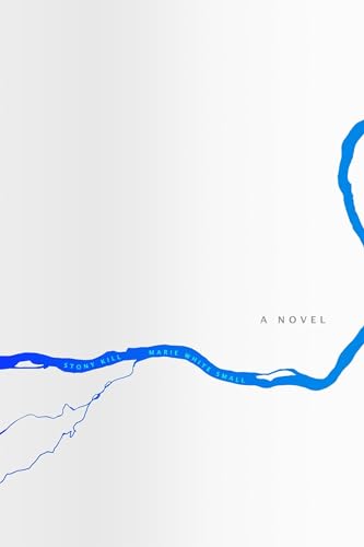 cover image Stony Kill: A Novel