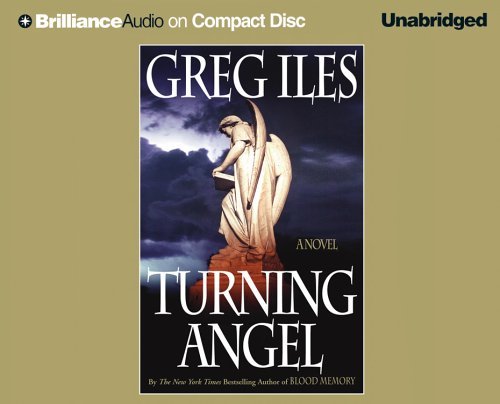 cover image Turning Angel