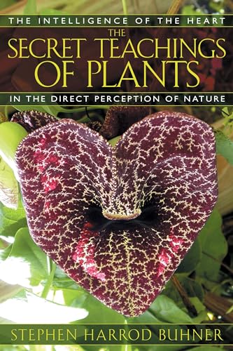 cover image THE SECRET TEACHINGS OF PLANTS: The Intelligence of the Heart in the Direct Perception of Nature