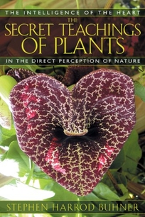 THE SECRET TEACHINGS OF PLANTS: The Intelligence of the Heart in the Direct Perception of Nature