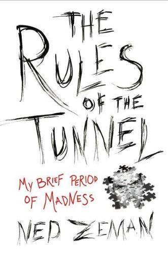cover image The Rules of the Tunnel:My Brief Period of Madness