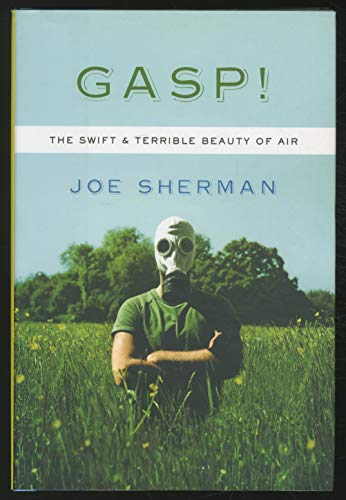 cover image GASP: The Swift and Terrible Beauty of Air