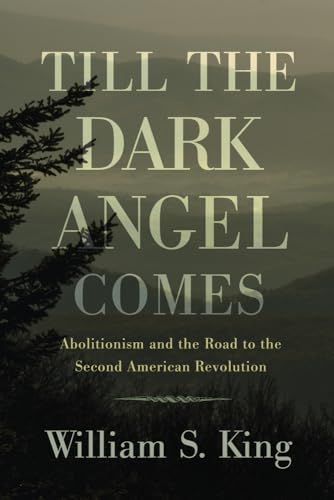 cover image Till the Dark Angel Comes: Abolitionism and the Road to the Second American Revolution