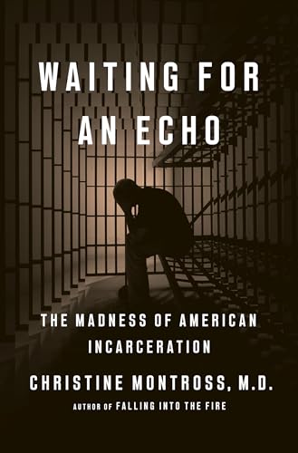 cover image Waiting for an Echo: The Madness of American Incarceration