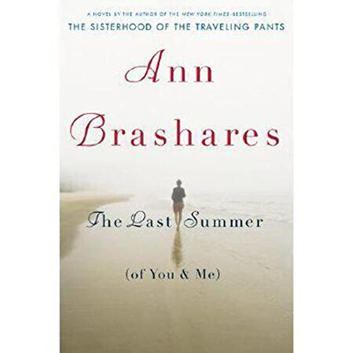 cover image The Last Summer (of You & Me)