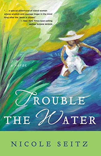cover image Trouble the Water
