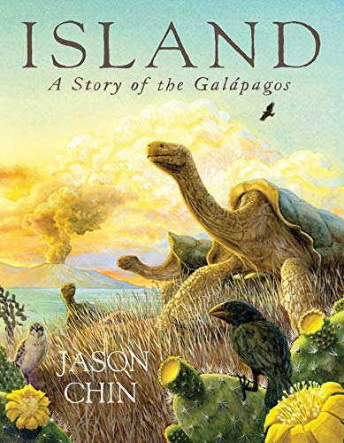 cover image Island: A Story of the Galapagos
