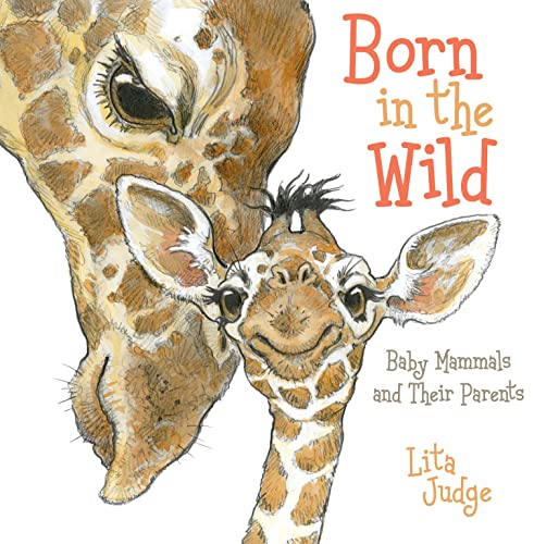 cover image Born in the Wild: Baby Mammals and Their Parents