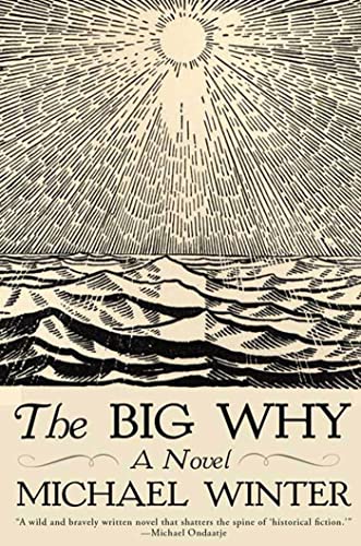 cover image The Big Why