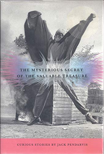cover image The Mysterious Secret of the Valuable Treasure