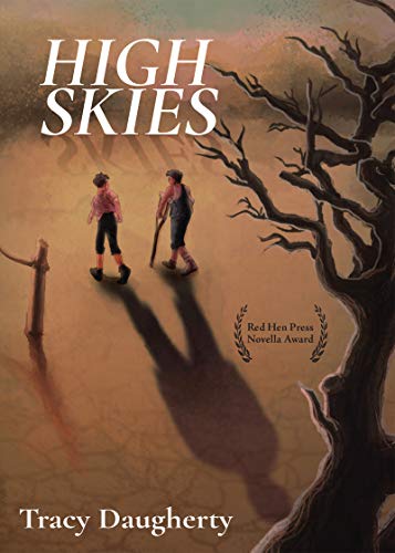 cover image High Skies
