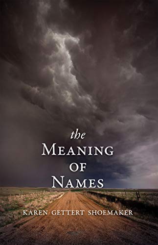 cover image The Meaning of Names