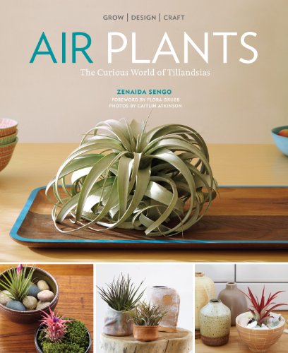 cover image Air Plants: The Curious World of Tillandsias