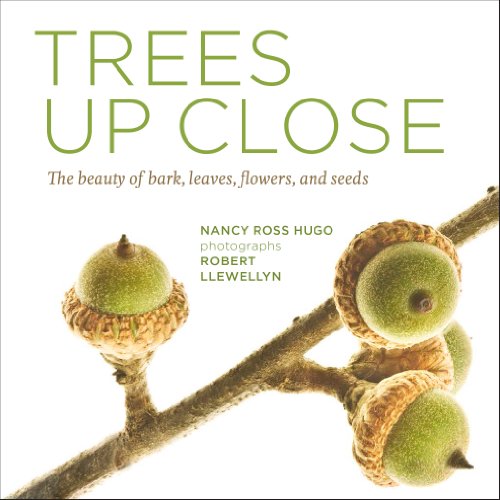 cover image Trees Up Close: The Beauty of Bark, Leaves, Flowers and Seeds