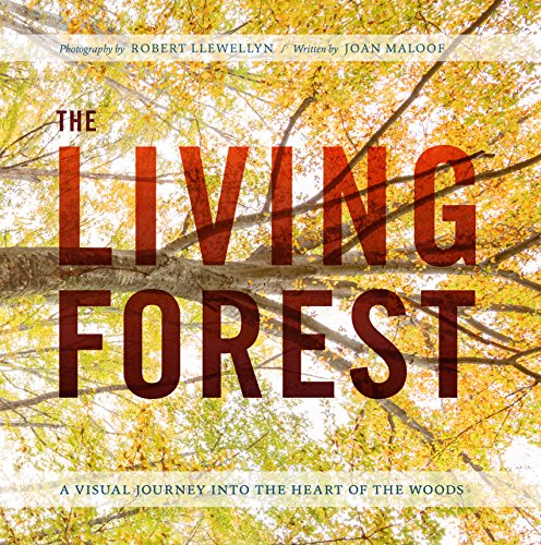 cover image The Living Forest: A Journey into Nature’s Most Intricate Habitat