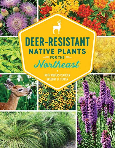 cover image Deer-Resistant Native Plants for the Northeast