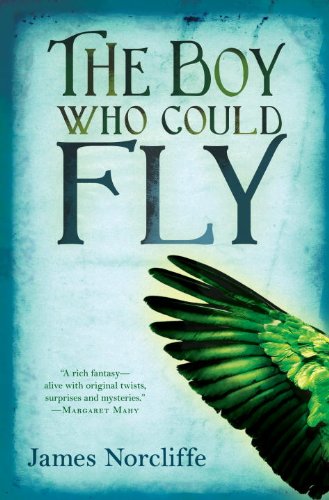 cover image The Boy Who Could Fly