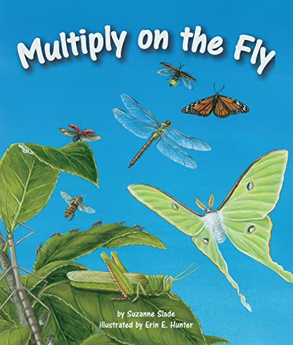 cover image Multiply on the Fly