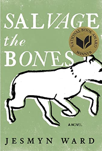 cover image Salvage the Bones