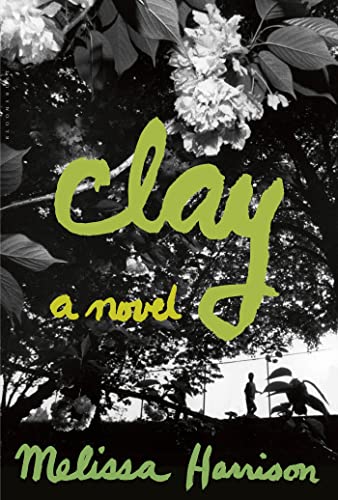 cover image Clay