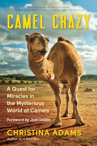 cover image Camel Crazy: A Quest for Miracles in the Mysterious World of Camels 
