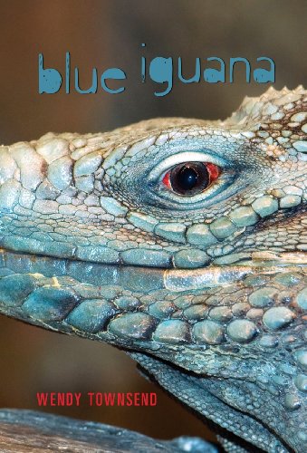 cover image Blue Iguana