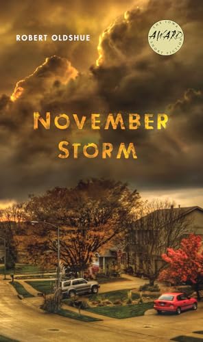cover image November Storm