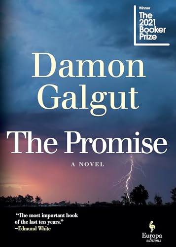cover image The Promise
