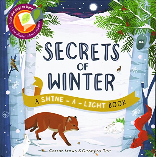 cover image Secrets of Winter: A Shine-a-Light Book