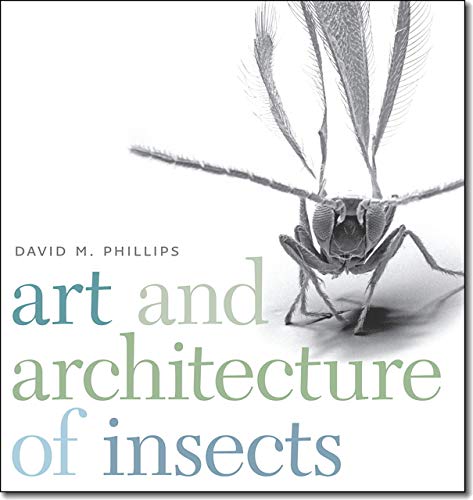 cover image Art and Architecture of Insects