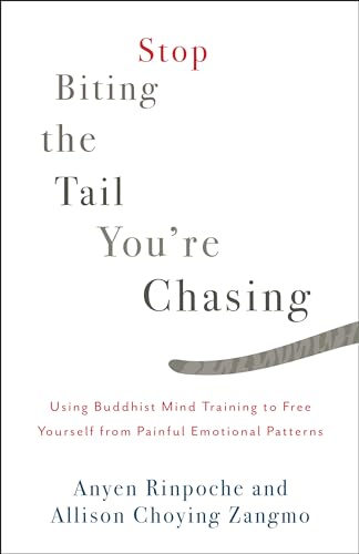 cover image Stop Biting the Tail You’re Chasing: Using Buddhist Mind Training to Free Yourself from Painful Emotional Patterns