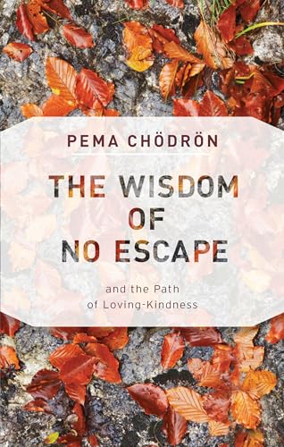 cover image The Wisdom of No Escape