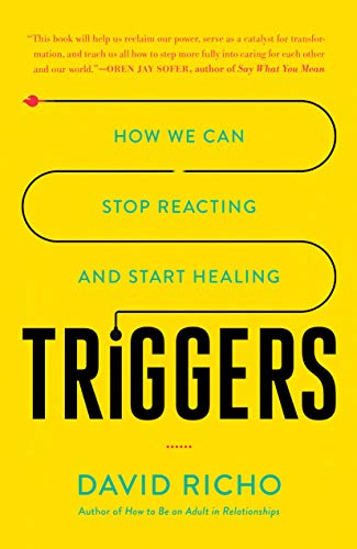 cover image Triggers: How We Can Stop Reacting and Start Healing
