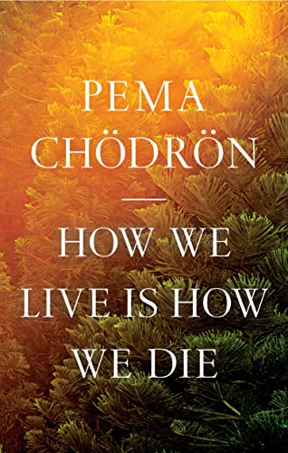 cover image How We Live Is How We Die