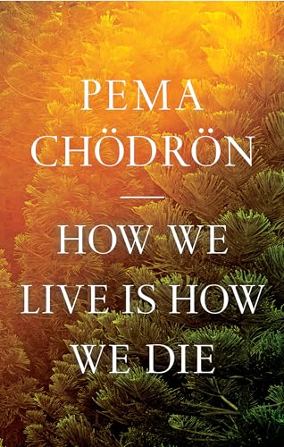 cover image How We Live Is How We Die