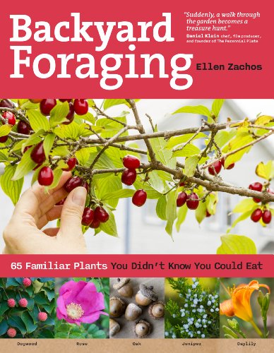 cover image Backyard Foraging: 65 Familiar Plants You Didn%E2%80%99t Know You Could Eat