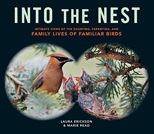 cover image Into the Nest: Intimate Views of the Courting, Parenting and Family Lives of Birds
