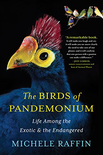 cover image The Birds of Pandemonium: Life Among the Exotic and the Endangered
