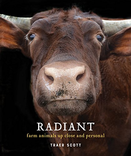 cover image Radiant: Farm Animals Up Close and Personal